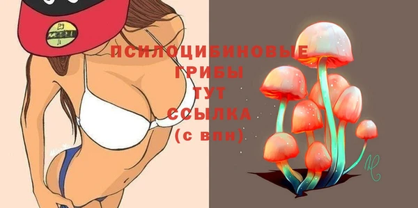 соль ск Алзамай