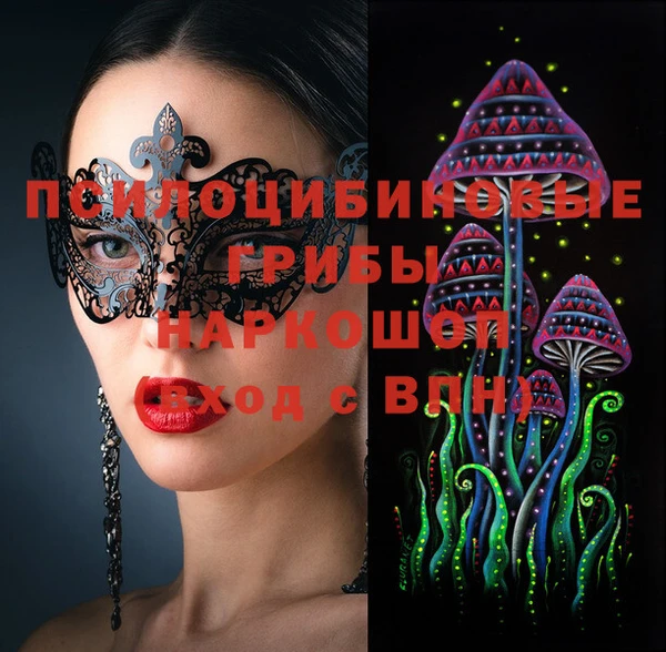 кокс Алексин