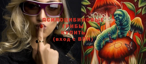 кокс Алексин