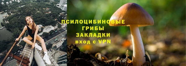 соль ск Алзамай