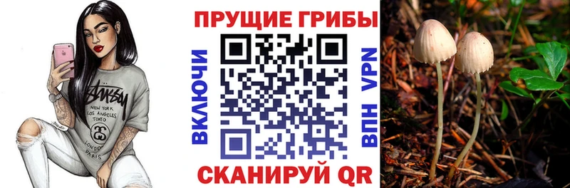 Галлюциногенные грибы ЛСД  купить  сайты  hydra вход  Кулебаки 
